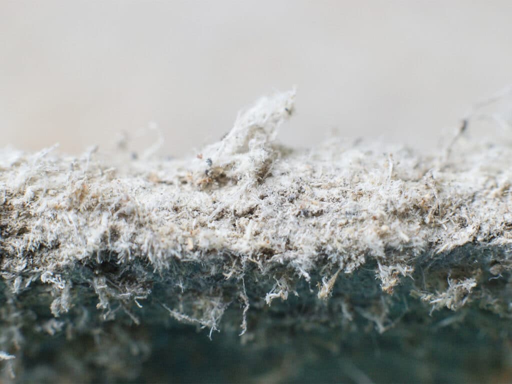Uitdagingen op weg naar een asbestveilig Vlaanderen